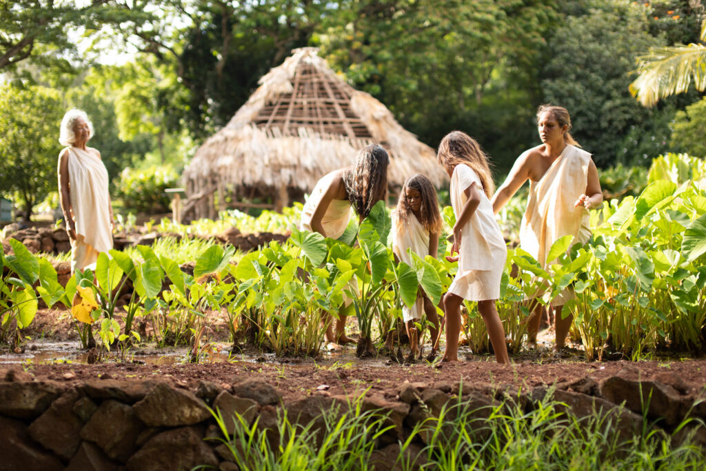 Regenetive Tourism Hawaii