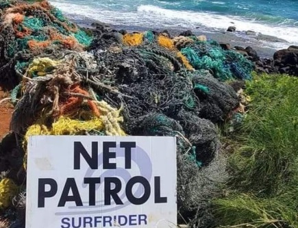 Kauai surfrider