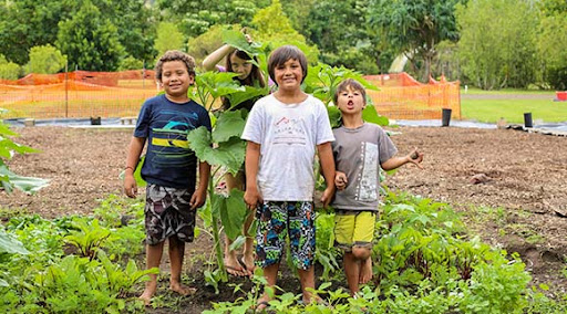 Waipa foundation Kauai