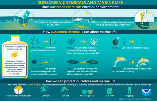 reef safe sunscreen hawaii