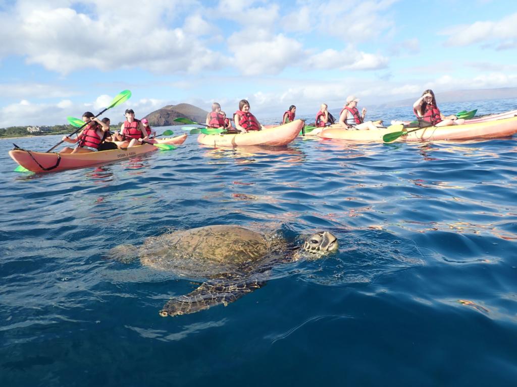 ecotourism on Kauai