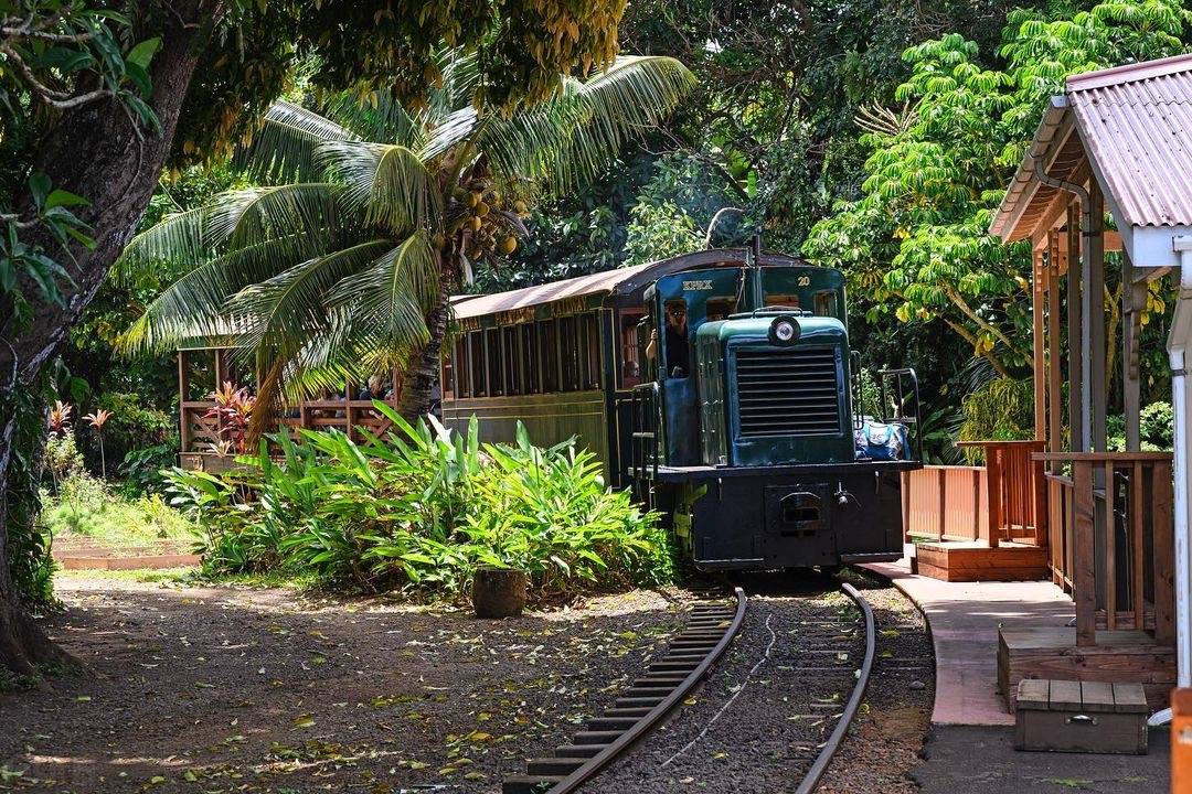 Fun things to do with kids on Kauai