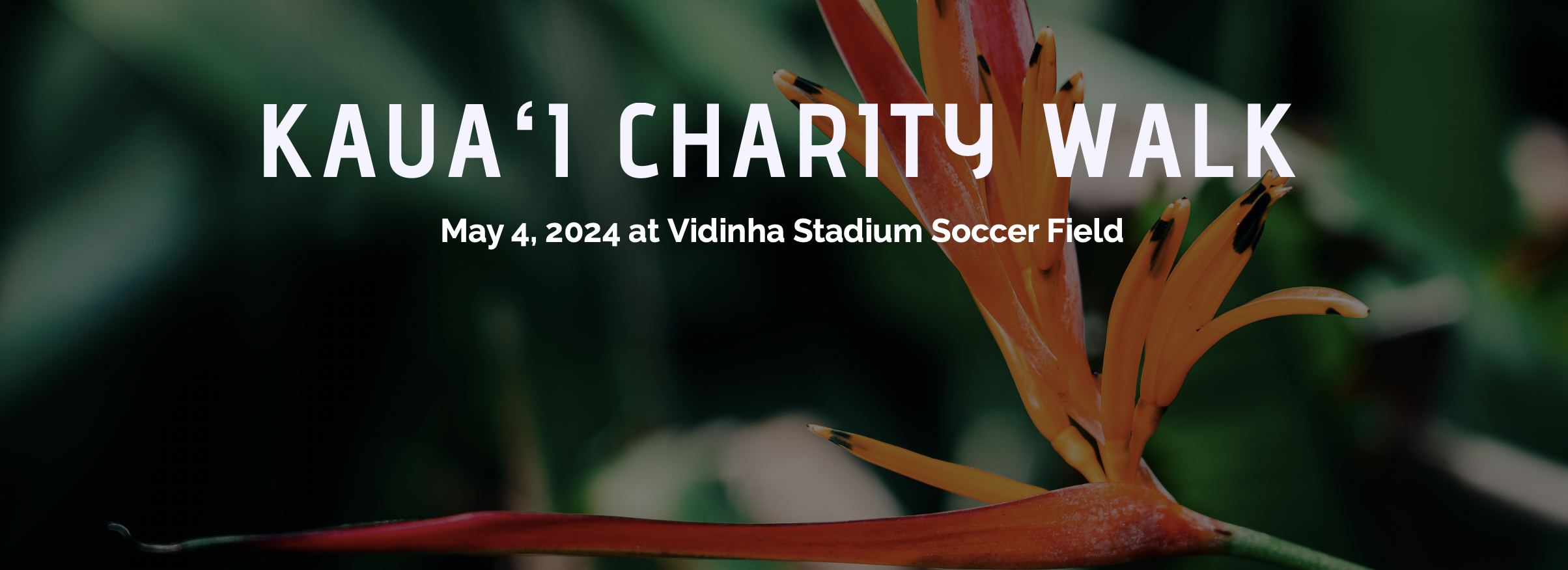 Kauai charity walk 2024