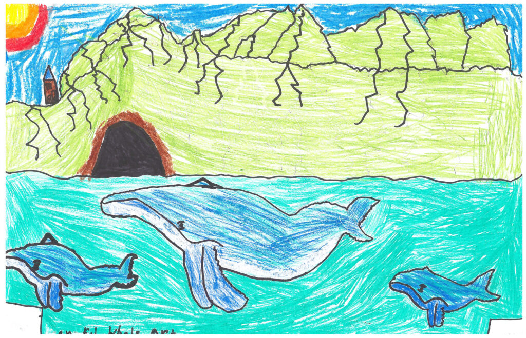 Kauai art contest