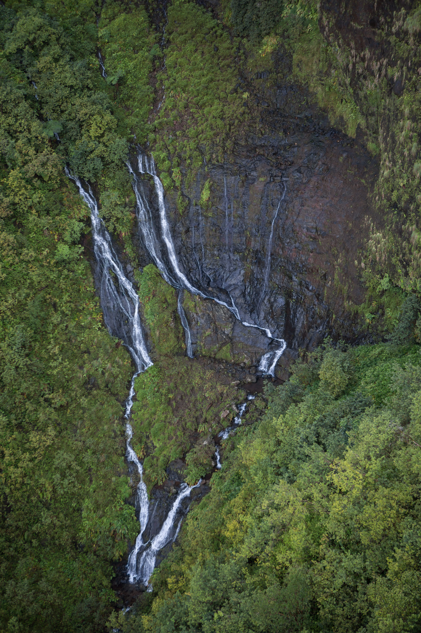 Kauai Photographer