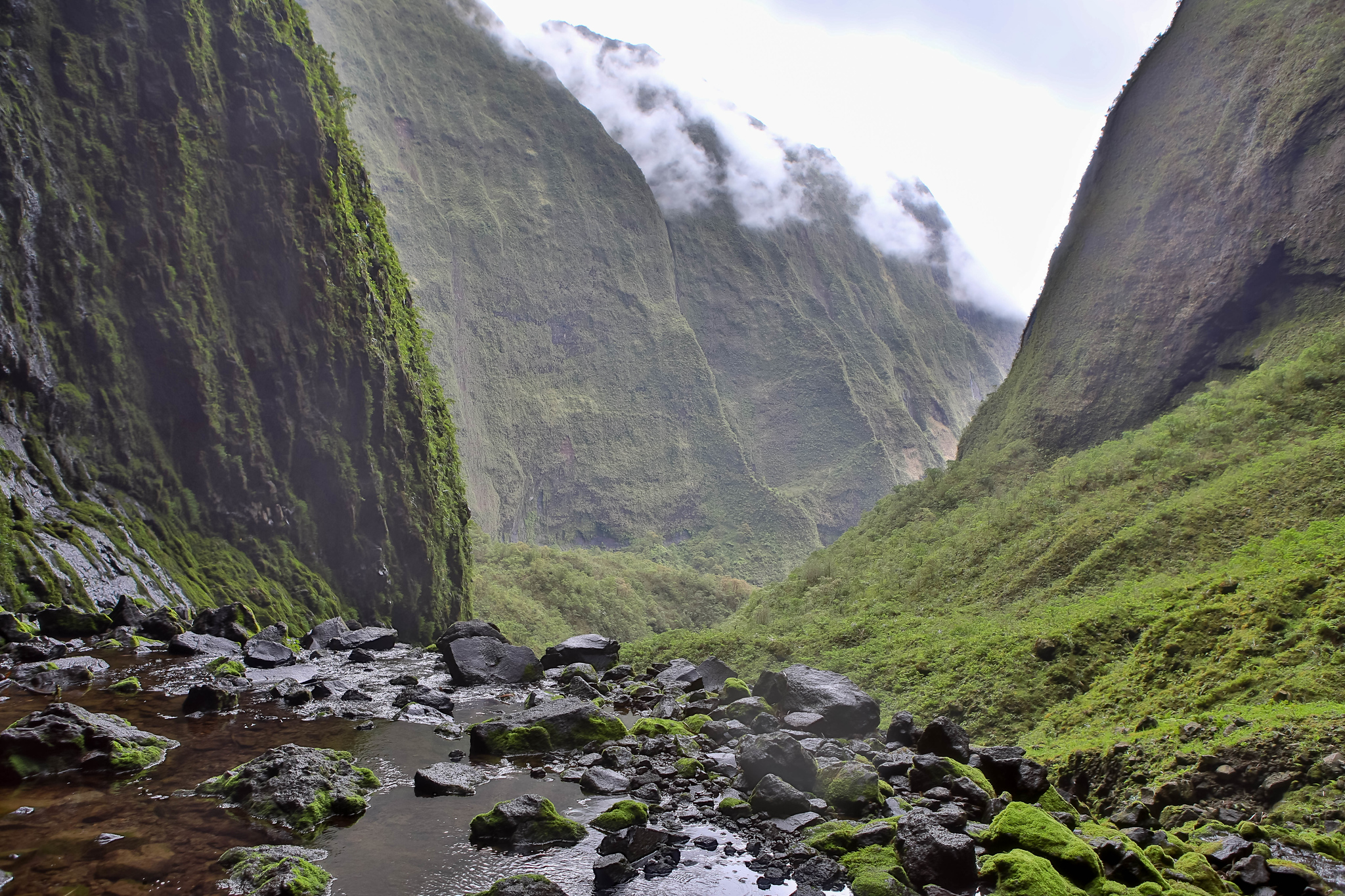 Mount Waiʻaleʻale History