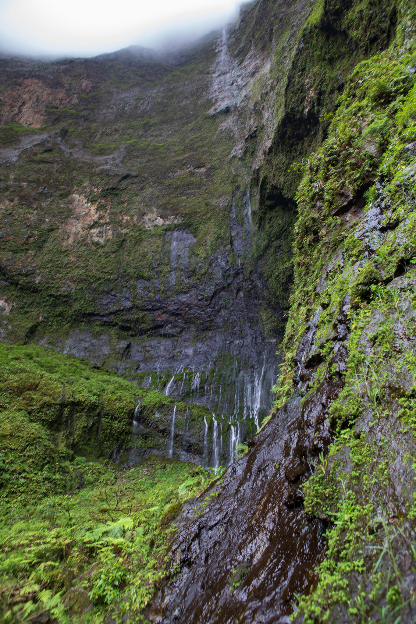 Weeping Wall Kauai