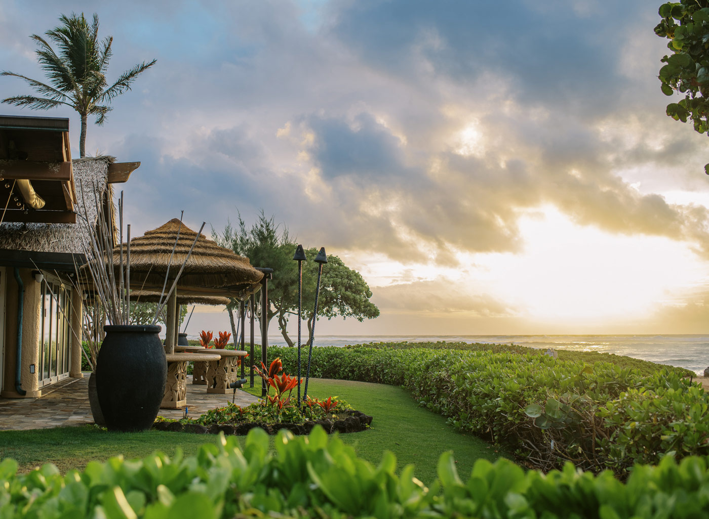 Oasis Kauaʻi