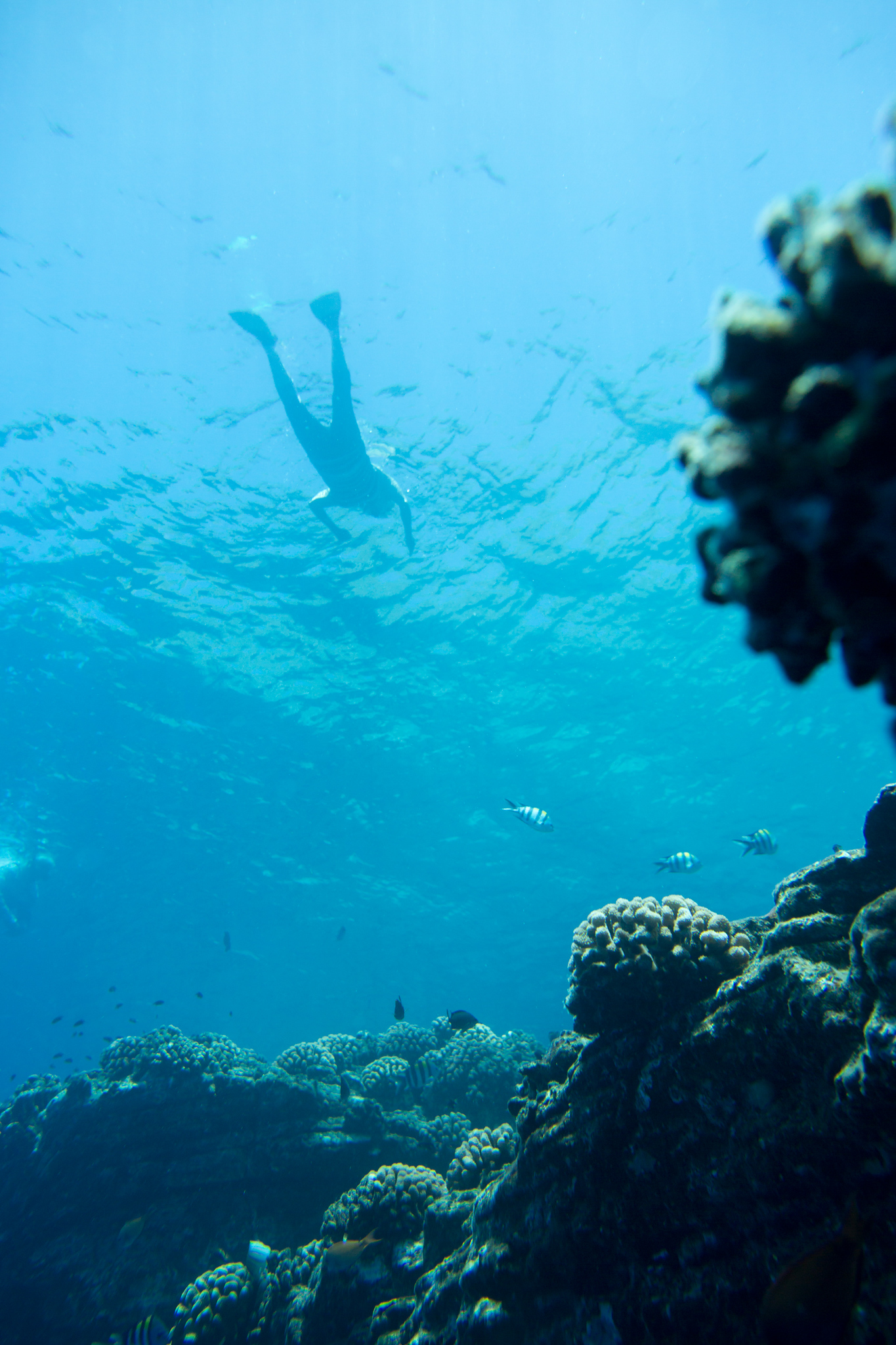 snorking on Kauaʻi