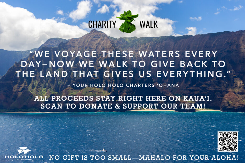 Charity Walk Kauai