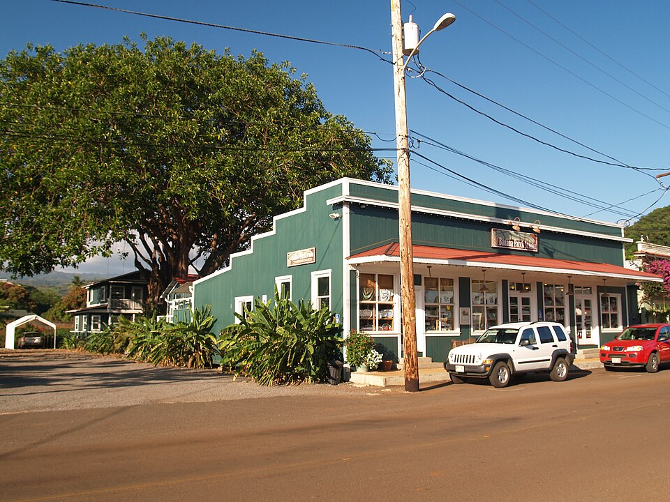 Green building with a red roof, large tree, two parked cars, clear sky, and power lines.